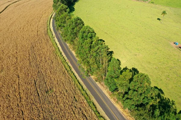 Aerial view of rural life scene. Great landscape. Countryside scenery.