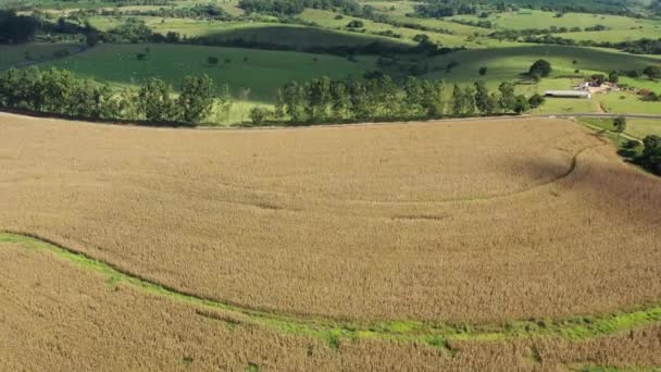 从空中俯瞰农村的生活场景 伟大的风景 乡郊风景 — 图库视频影像