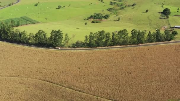 Veduta Aerea Della Scena Della Vita Rurale Bel Paesaggio Paesaggio — Video Stock