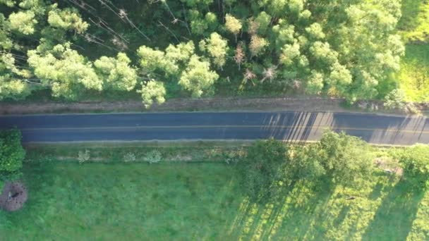 Vista Aérea Uma Cena Vida Rural Cena Estrada Rural Grande — Vídeo de Stock