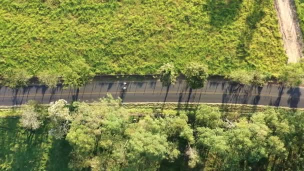 農村部の生活シーンの空中ビュー 農村道路のシーン 素晴らしい風景 — ストック動画
