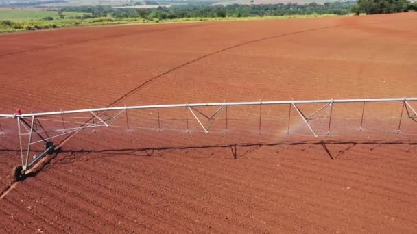 Agro Unternehmen Produzieren Eine Quarantäne Bevölkerung Versorgen — Stockvideo