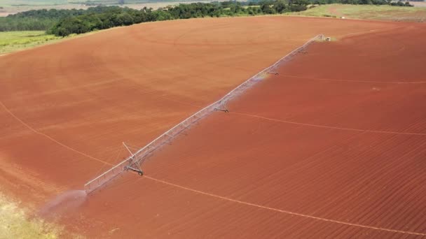 Agronegócio Produzindo Para Abastecer Uma População Quarentena — Vídeo de Stock