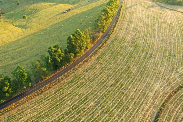 Luchtfoto Van Het Landelijke Landschap Zonnige Dag Leefwijze Het Platteland — Stockfoto