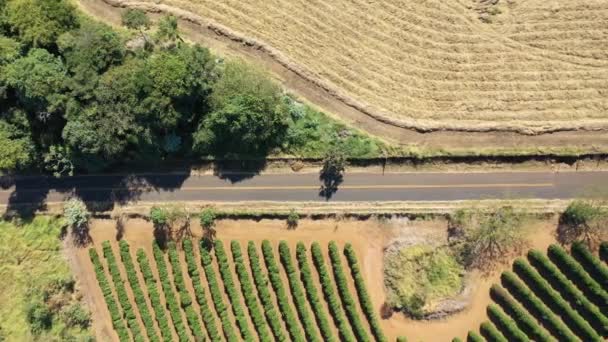 Flygfoto Över Landskapet Den Soliga Dagen Landsbygdslivsstil — Stockvideo