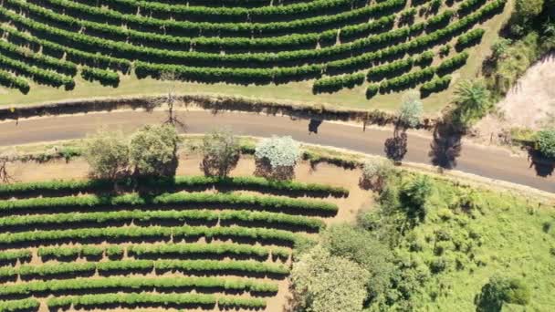 Aerial View Rural Landscape Sunny Day Countryside Lifestyle — Stock Video