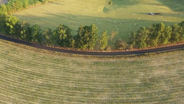 Αεροφωτογραφία Του Αγροτικού Τοπίου Την Ηλιόλουστη Μέρα Τρόπος Ζωής Στην — Αρχείο Βίντεο
