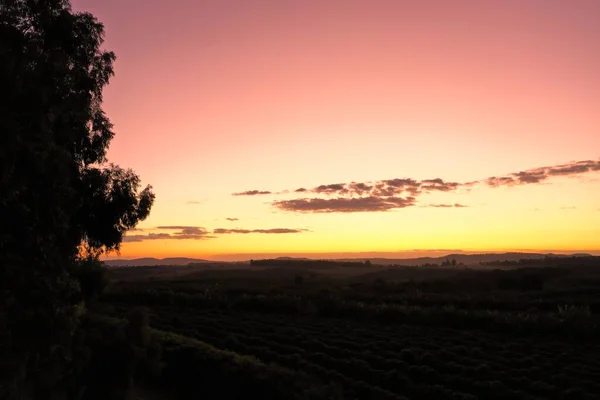 Panoramiczny Widok Zachód Słońca Pole Rolnicze Panoramą Piękna Scena Życia — Zdjęcie stockowe