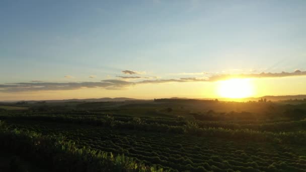 Vista Panorámica Del Campo Agricultura Atardecer Con Horizonte Belleza Escena — Vídeos de Stock