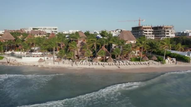 Wycofanie się z grupy palm nad Morzem Karaibskim Nagranie drona 4k — Wideo stockowe