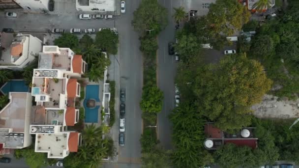 Slow Motion Φθίνουσα Onto Tree στο Median of a Mexican Town - 4k Aerial — Αρχείο Βίντεο