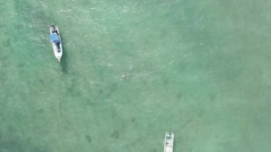 Karayipler 'in Aqua Blue Water' ında bir yüzücünün izini sürüyorum.