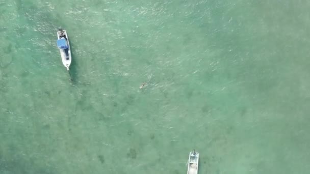 Seguimiento de un nadador en el agua azul acuática del Caribe - Aerial Drone Shot — Vídeos de Stock
