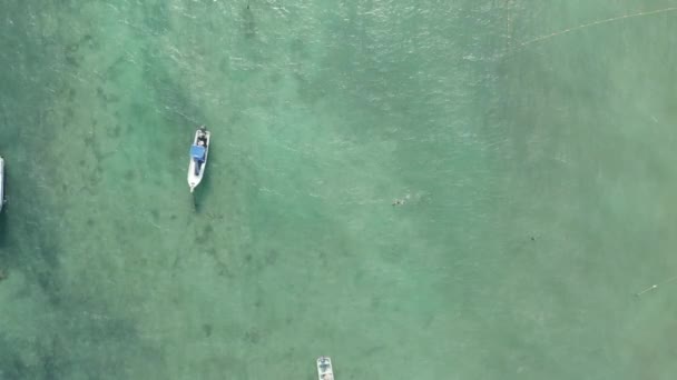 Adam Karayipler 'deki Tersanede Yüzüyor Kameranın Önünde- 4k Hava — Stok video