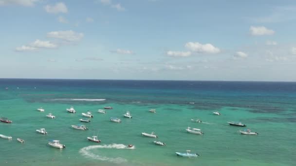 Восхождение с пальмы, фокусируясь на верфи в Карибском море - 4k Aerial — стоковое видео