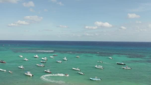 Ascent from a Palm Tree, Focusing on Shipyard in the Caribbean - 4k Aerial — Stok video