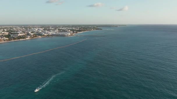 Filmación aérea Volando pasó una bandada de aves - 4k Drone Filmación — Vídeo de stock