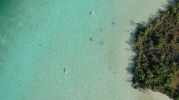 Отслеживание каяков в Aqua Blue Lagoon Near Belize - 4k Aerial Shot — стоковое видео