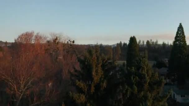 Monter d'un arbre pour révéler une vue panoramique de la ville et des montagnes derrière — Video