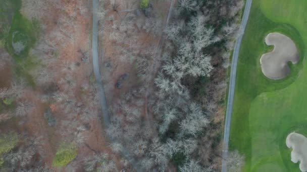 Blick auf die ehemalige Straße, umgeben von ausgetrockneten Bäumen, neben einem Golfplatz — Stockvideo