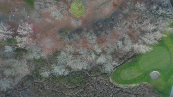 4k Вид с воздуха на рощи с коричневыми деревьями рядом с полем для гольфа в Орегоне — стоковое видео