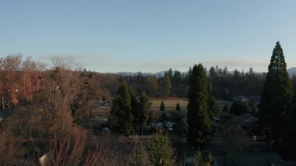4k Aerial Slow Motion über den Bäumen mit einer schönen Waldstadt als Hintergrund — Stockvideo