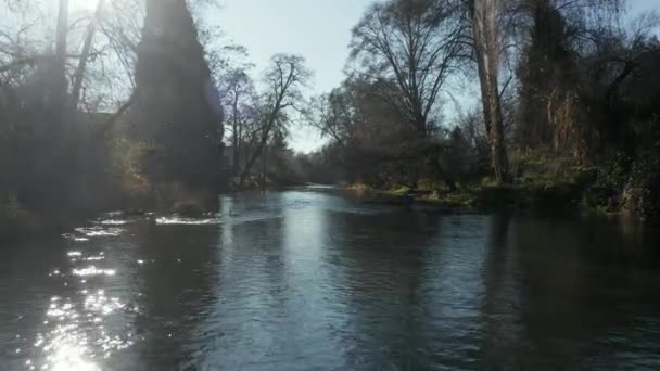 Vista brillante siguiendo el río en Ashland Oregon a corta distancia- 4k aérea — Vídeo de stock