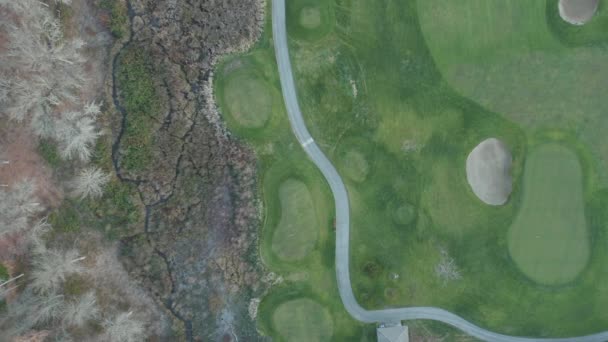Vista aérea de 4k sobre un campo de golf y el grupo de árboles marrones junto a él — Vídeos de Stock
