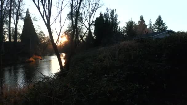 Vista do pôr do sol se movendo através dos arbustos e parando em um riacho em Ashland — Vídeo de Stock