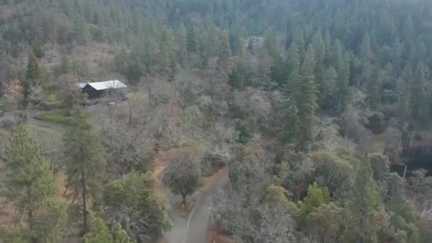 Überflug des Waldes an einer Hütte vorbei, die von Bäumen umgeben ist - 4k Antenne — Stockvideo