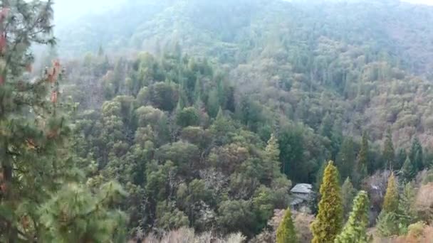 4k Air Сходження на дерево щоб відкрити приголомшливий вид на гори покриті деревами — стокове відео