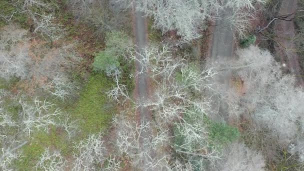4k Aerial Vertical Shot Siguiendo una ruta de senderismo en las montañas de Ashland — Vídeo de stock