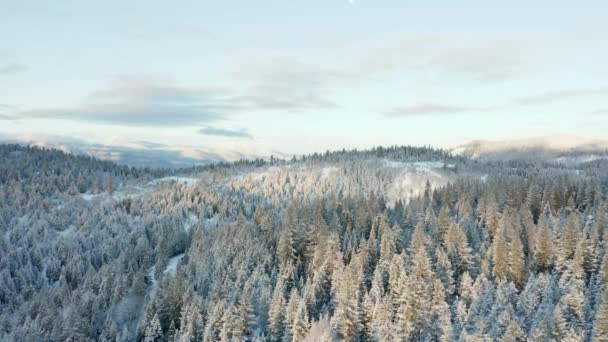 Blick bewegt sich langsam auf einen baumbestandenen Hügel mit Bergen im Hintergrund zu -4k — Stockvideo