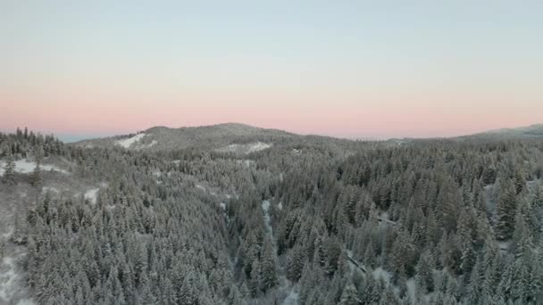 Ashland 'da Sunrise' daki Karlı Ağaç Kaplı Tepe 'den Yavaş Çekim Geri Çekiliş — Stok video