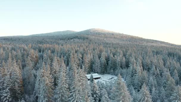 Rondom een hut omringd door besneeuwde bomen met daarachter grote bergen — Stockvideo