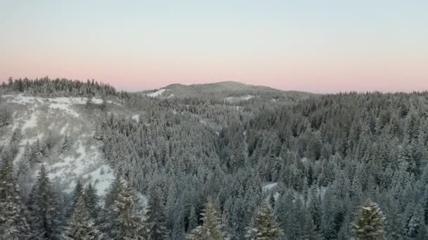 4k vista aérea voando sobre uma floresta para revelar o vale nevado no nascer do sol colorido — Vídeo de Stock
