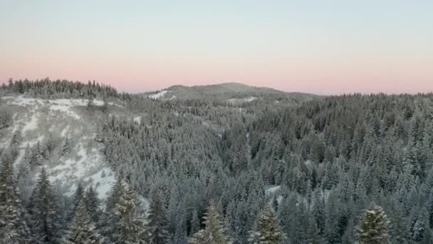 Vista aerea 4k che vola sopra una foresta per rivelare la valle innevata all'alba variopinta — Video Stock