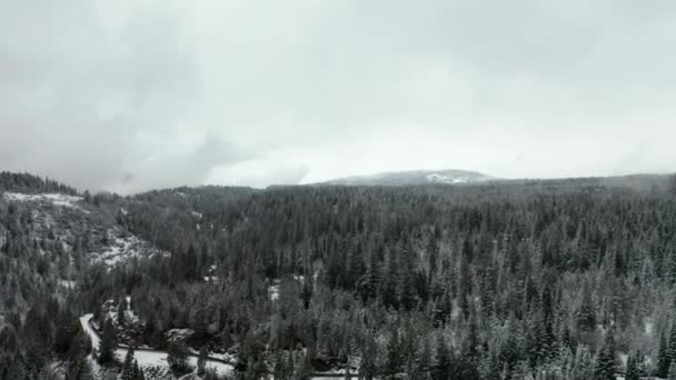 4k antenn skott flyger i en snöstom över skogen med stora berg som bakgrund — Stockvideo