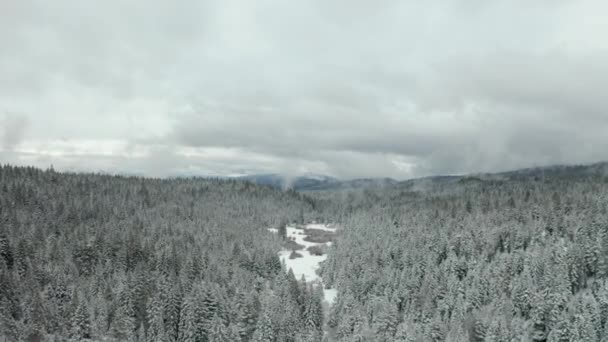 4k antenn High View Flying Over Snowy Valley Omgiven av träd med molnig himmel — Stockvideo