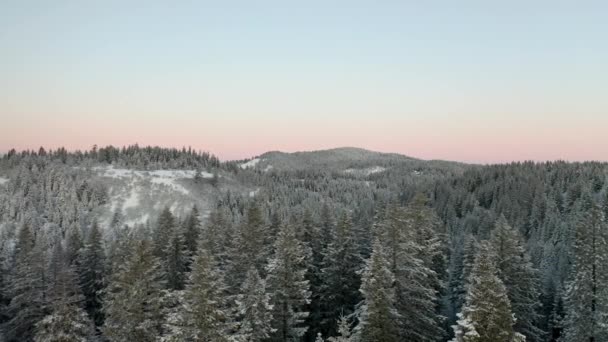 Horizontale Ansicht, die sich über den Wald bewegt und sich auf den Sonnenaufgang über den Hügeln konzentriert — Stockvideo