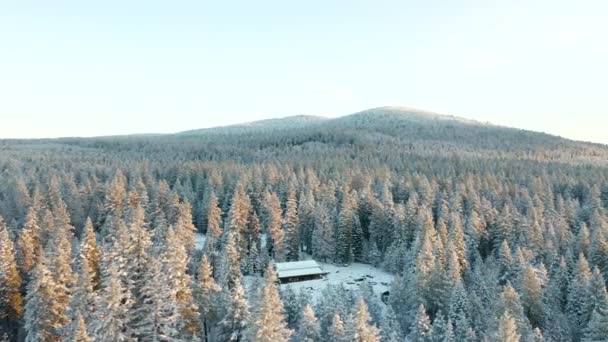 Κυκλώνουν αριστερά γύρω από καμπίνα Κρυμμένη σε χιονισμένα δάση με τα βουνά ως φόντο — Αρχείο Βίντεο