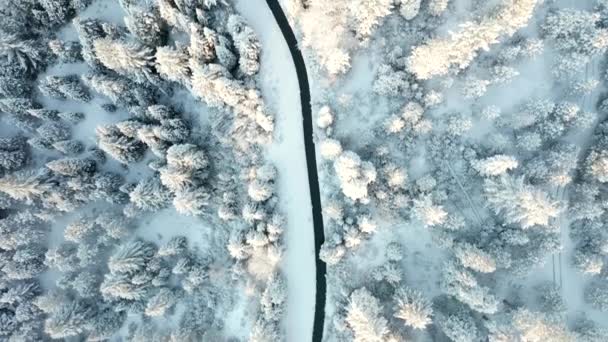 Svislý pohled po zavlažovacím kanálu ve sněhu Obklopen stromy — Stock video