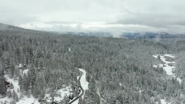 4k Aerial Skott Efter en bevattningskanal i snön Omgiven av träd — Stockvideo