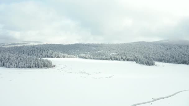 4k vista aérea deslumbrante voando sobre um lago congelado cercado por floresta nevada — Vídeo de Stock
