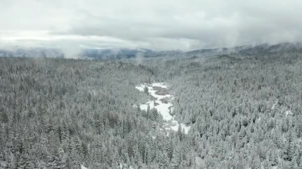4k antenn skott flytta vänster till höger över snöiga dalen omgiven av träd — Stockvideo