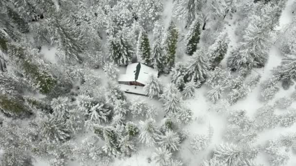 4k tiro aéreo circulando em torno de uma cabine cercada por árvores nevadas na floresta — Vídeo de Stock