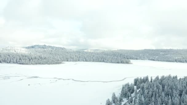 4k Aerial Scenic View auf dem Weg zu einem zugefrorenen See, umgeben von verschneiten Wäldern — Stockvideo