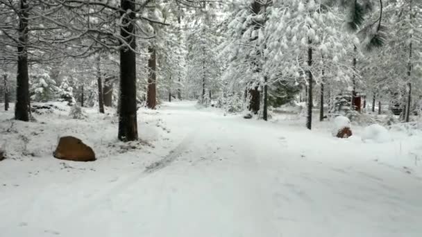 4k Légi felvétel a keréknyomok mentén egy havas úton az erdőben — Stock videók