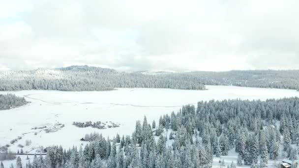 4k Uitzicht vanuit de lucht Vliegen naar een bevroren meer omgeven door bos op een bewolkte dag — Stockvideo