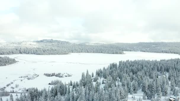 4k Vue Aérienne Vers Un Lac Froid Entouré Par La Forêt Par Un Jour Nuageux — Video